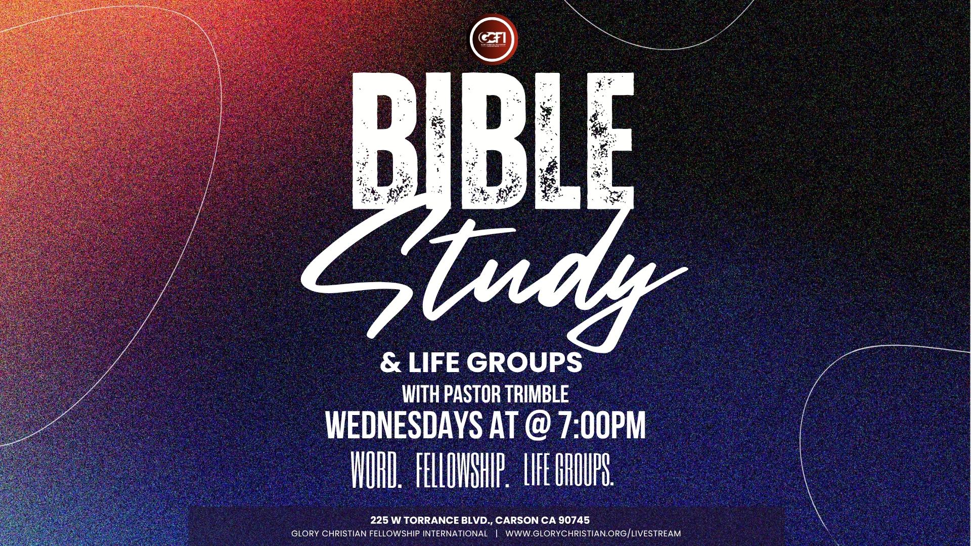 Bible Study & Life Groups